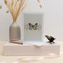 Butterfly And The Ladybirds Greetings Card, thumbnail 1 of 2