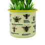 Bee Enamel Plant Pot, thumbnail 6 of 6