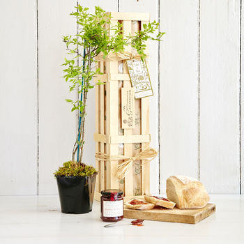 Grow Your Own Sloe Gin Gift Crate, 2 of 7