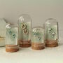 Blue Opal Stud Earrings, thumbnail 10 of 11