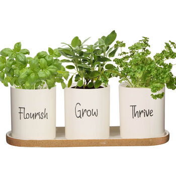 Ceramic Kitchen Herb Planters With Personalised Markers, 2 of 6