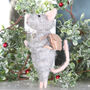 Christmas Mouse Couple Decoration, Set Of Two, thumbnail 5 of 6