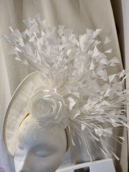 Ivory Hat With Feather Detail, 2 of 5