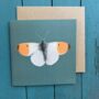 Orange Tip Butterfly Illustarted Blank Card, thumbnail 1 of 3