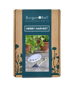 Herb Harvest Gift Set, 4 of 7