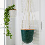 Green Splash Hanging Plant Pot, thumbnail 1 of 4