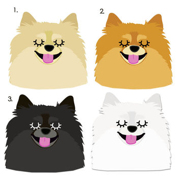 Pomeranian Personalised Dog ID Name Tag, 4 of 12