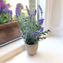 Potted Faux Lavender In Stone Effect Pot, thumbnail 1 of 4