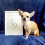 Chihuahua Personalised Wall Art, thumbnail 1 of 10