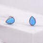 Sterling Silver Opal Droplet Stud Earrings, thumbnail 1 of 12