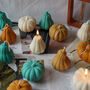 Midnight Harvest Pumpkin, thumbnail 4 of 4