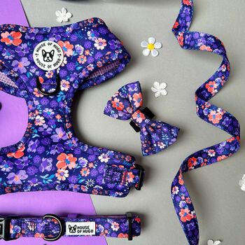 Ditsy Floral Adjustable Padded Dog Harness, 3 of 11