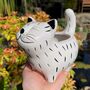 Ceramic Cat Small Planter, thumbnail 4 of 10