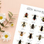 British Bees Poster, thumbnail 4 of 5