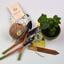 Grow Your Own Daisies Gardening Gift Set, thumbnail 5 of 5