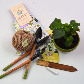 Grow Your Own Daisies Gardening Gift Set, 5 of 5