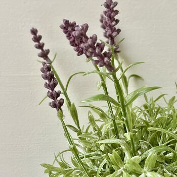 Artificial Lavender In Pot, 4 of 6