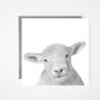 Bootes The Lamb Luxury Blank Greeting Card, thumbnail 1 of 2