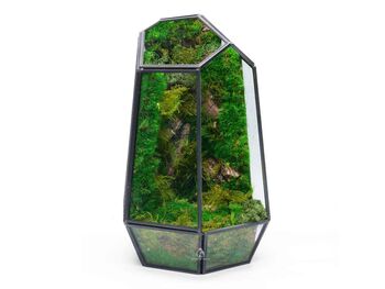 Large Geometric Terrarium | 'Boa Vista', 2 of 4