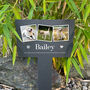 Personalised Large Pet Photo Memorial Slate Plant Marker, thumbnail 1 of 7