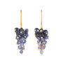 Sapphire Grape Earrings, thumbnail 1 of 3