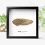 Woolly Mammoth Bone Box Frame Real Authentic Jurassic Dinosaur Fossil Museum Quality Natural History Interior Design Home Decor Display Gift Ornament, thumbnail 1 of 5