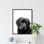 Labrador Puppy Hand Drawn A4 Print, thumbnail 1 of 4