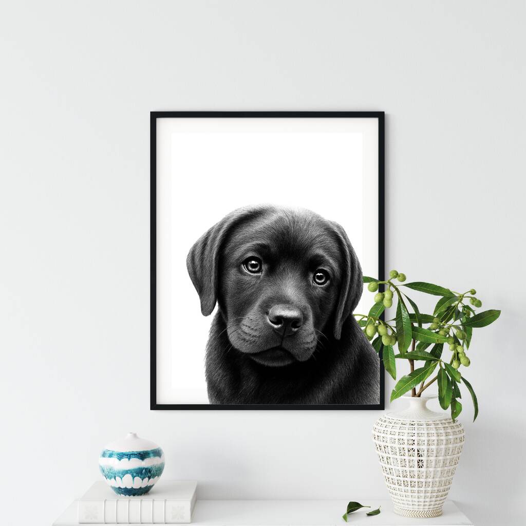 Labrador Puppy Hand Drawn A4 Print, 1 of 4