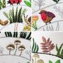 Round And Round The Woodland Hand Embroidery Kit, thumbnail 4 of 6