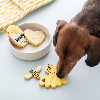Bee Mine Spring Time Iced Dog Biscuit Set, 2 of 2