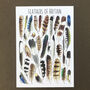 Feathers Of Britain Illustrated Postcard, thumbnail 6 of 9