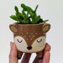 Plant Your Own Succulent Kit With Deer Pot, thumbnail 5 of 5