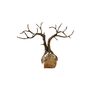 Handcrafted Bronze Tree Sculpture, thumbnail 2 of 2