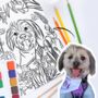Pet Portrait Colouring Sheet, thumbnail 1 of 9