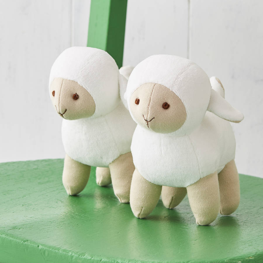 soft sheep