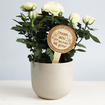 Thank You For Helping Me Grow Personalised Plant Marker, 3 of 4