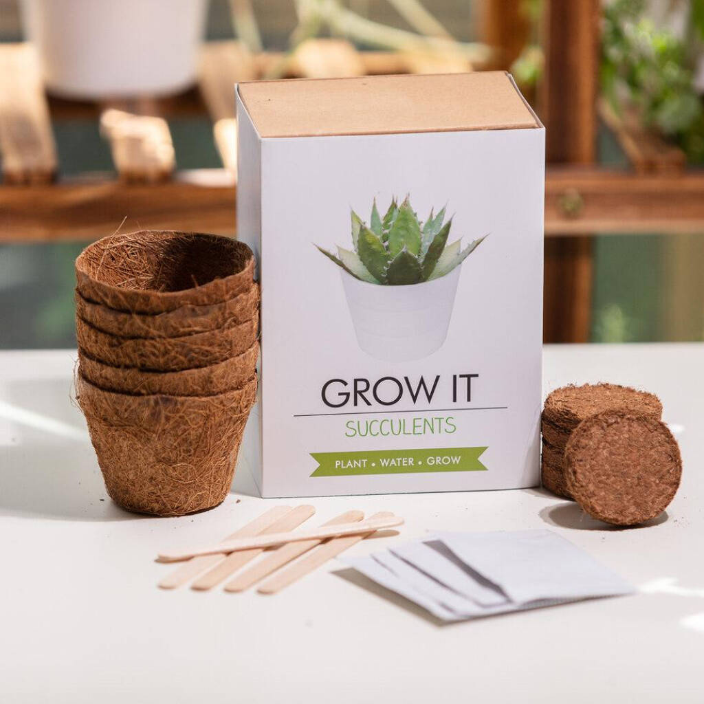 Grow Your Own Succulents, 1 of 4