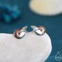 Nautilus Shell Stud Earrings In Sterling Silver, thumbnail 1 of 12