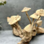 20cm Hand Carved Wooden Mushroom Figurine Coffee Root Wood, thumbnail 10 of 12