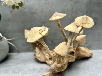 20cm Hand Carved Wooden Mushroom Figurine Coffee Root Wood, 10 of 12