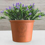 Personalised Small Round Birth Flower Pot, thumbnail 1 of 7