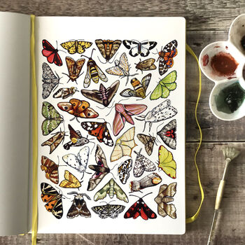 Moths Of Britain Wildlife Print, 8 of 10