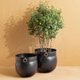 Pembridge Extra Large Hammered Brass Planter 45cm, thumbnail 2 of 9