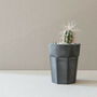 Concrete Planter Cactus Kit, thumbnail 11 of 12