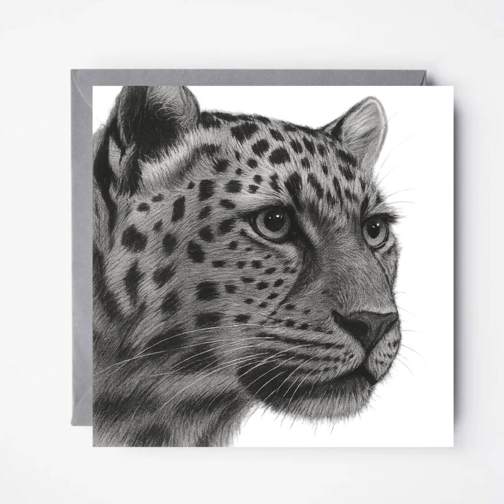 Leopard Blank Greeting Card Safari Cards, 1 of 6
