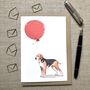 Personalised Hamiltonstovare Dog Birthday Card, thumbnail 1 of 4