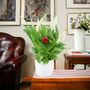 Peace Lily Plant In 12cm Pot – Elegant Indoor Flower, thumbnail 4 of 6