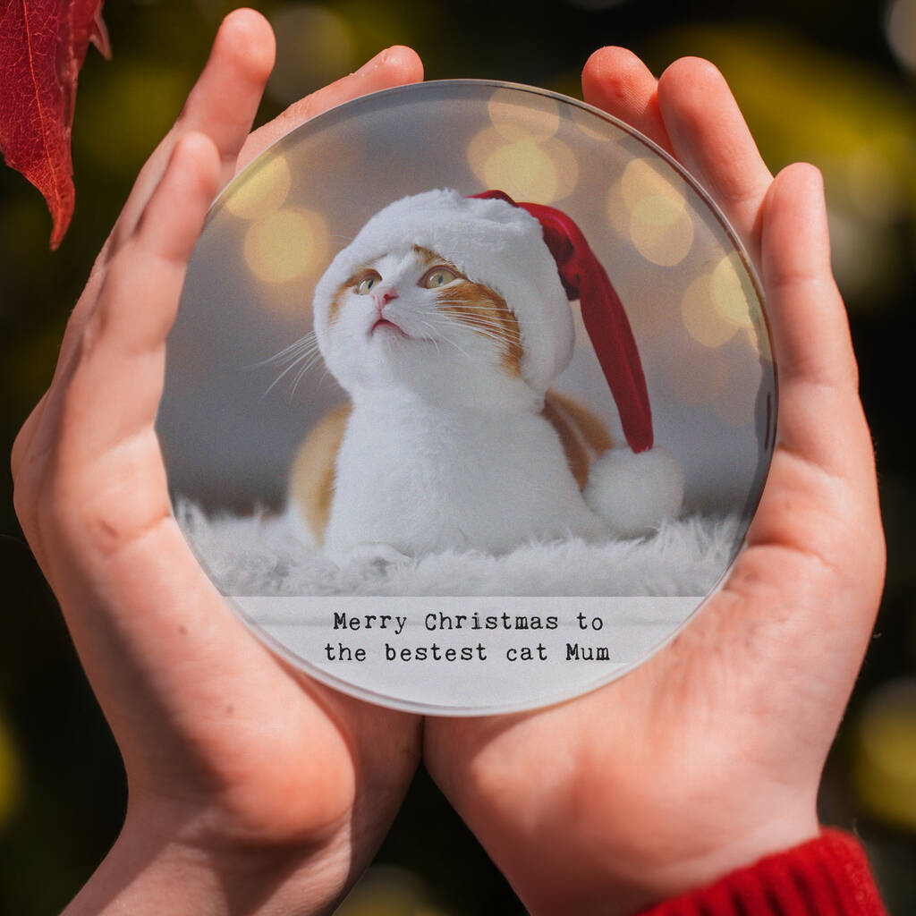 Pet Photo And Message Personaslied Christmas Glass Coaster, 1 of 2