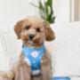 Heart Of Blue Adjustable Dog Harness, thumbnail 7 of 7