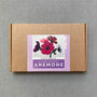 Paper Flower Kit Anemone, thumbnail 3 of 11